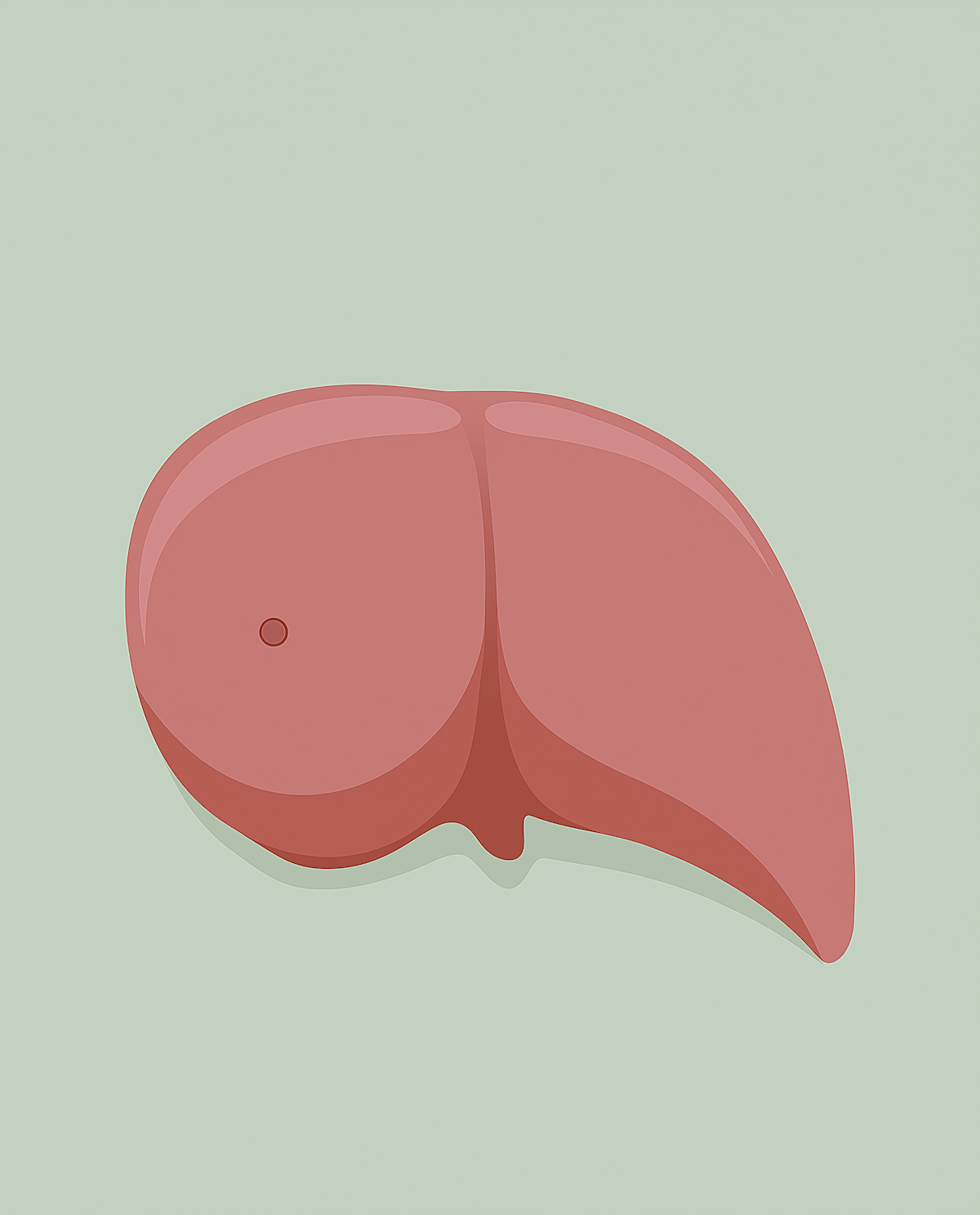Hepatocellular Carcinoma